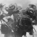 stardustskeleton avatar