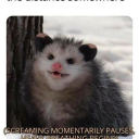 staresatyoufromaccrosstheroom avatar