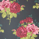 starlightph0enix avatar