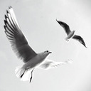 starlit-pathways avatar