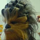 starrikthewookiee avatar