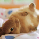 starrybabychild avatar