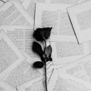 starrydivinitysblog avatar