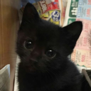 starryeyedseeker avatar