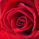 starrynightskies12 avatar