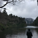 starryseagirl avatar