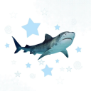 starrysharks avatar