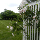 stars-in-the-distance-blog avatar