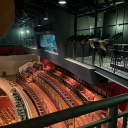 stars-too-fondly-for-night avatar