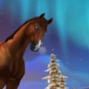 starstablegeek avatar