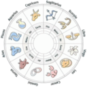 starstruckastrology avatar