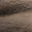 startwithgoodintentions avatar