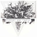 starving-ego-company avatar