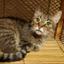 statesideshift avatar