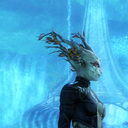 statistically-rather-rare avatar