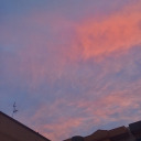 staystrong-96 avatar