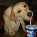 steampunk-luver avatar