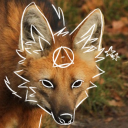 steinesindsteinee avatar