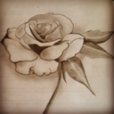 stephhotpink-blog avatar