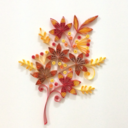 stephsuniverse-blog avatar