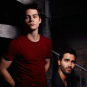 sterekspup avatar