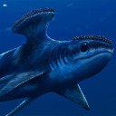 stethacanthus avatar