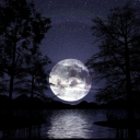 stictsissyqueena avatar