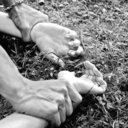 still-early-morning avatar