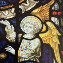 still-on-the-go avatar