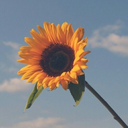 still-sounds-good avatar