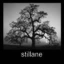 stillane avatar