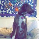 stillc0rners-blog-blog avatar