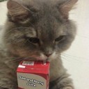 stillsimpingforaymeric avatar