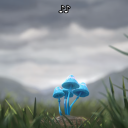 stillsstillsstillsblog avatar