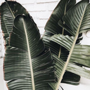 stinastudiess-blog avatar