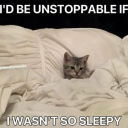 stinkyclownsnatch avatar