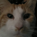 stinkylittlemoldman avatar