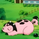 stitch-is-king avatar