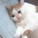 stitchtehzombie avatar