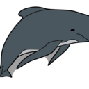 stolendolphins avatar
