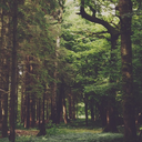 stop-being-so-positive avatar