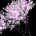 stop-the-illuminati-if-its--blog avatar