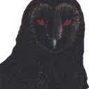 stopfollowingmeimnotyoumother avatar