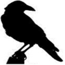 storiesintheashes avatar