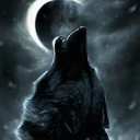 stormwolfnight avatar