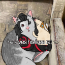 stormxdbutbetter avatar