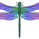 storybookwonder avatar