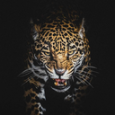 storyteller504 avatar