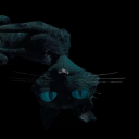 str4ngergirlw0rld avatar