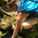 straight-on-tilll-morning avatar